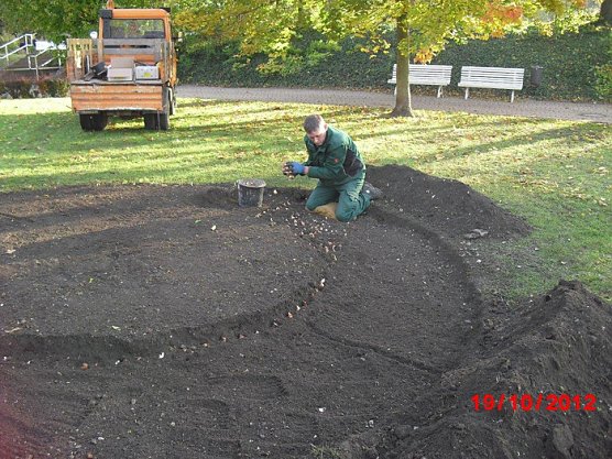 Bl&uuml;hendes Frankenhausen (Foto: Stadt Bad Frankenhausen)