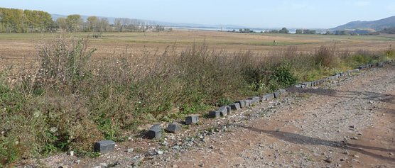 Behinderte doppelt benachteiligt (Foto: Karl-Heinz Herrmann) Behinderte doppelt benachteiligt (Foto: Karl-Heinz Herrmann)