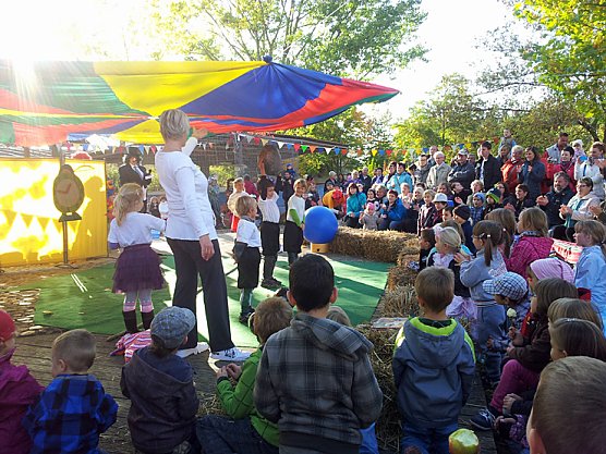 Manege frei... (Foto: Jane Siegmann)