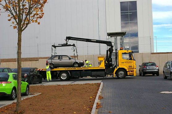 Toter bei Aquila (Foto: Ilka Kühn) Toter bei Aquila (Foto: Ilka Kühn)