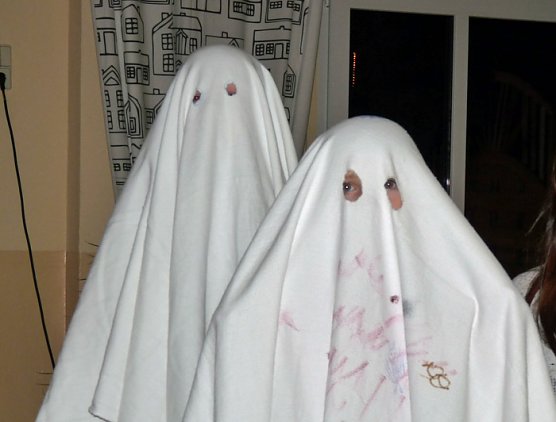 Zauberhafter Strau&szlig;berg (Foto: Karl-Heinz Herrmann)