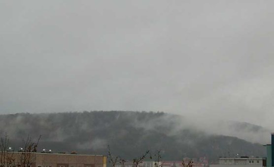 Wetter interessiert (Foto: privat) Wetter interessiert (Foto: privat)