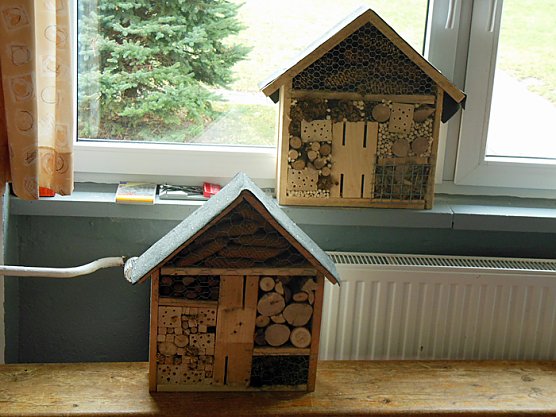 Wohnung f&uuml;r die "Kleinsten" (Foto: Stadtjugendring Sondershausen)