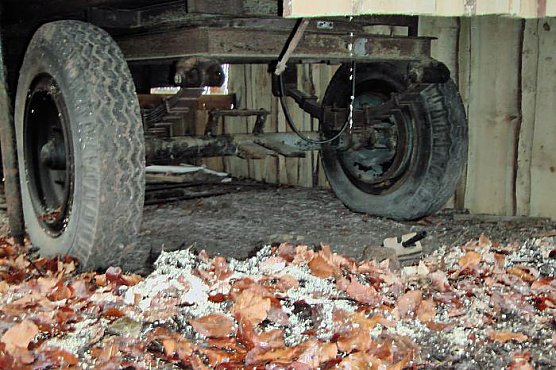 Erst gef&ouml;rdert und dann? (Foto: Karl-Heinz Herrmann)