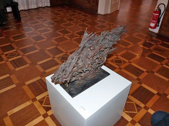 Grafik - Plastik (Foto: Karl-Heinz Herrmann)