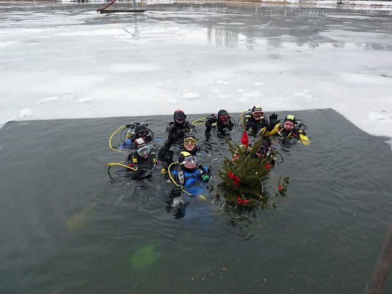 Im Eis versunken (Foto: Karl-Heinz Herrmann)