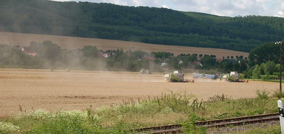 Getreideernte bei Berka (Foto: Karl-Heinz Herrmann)