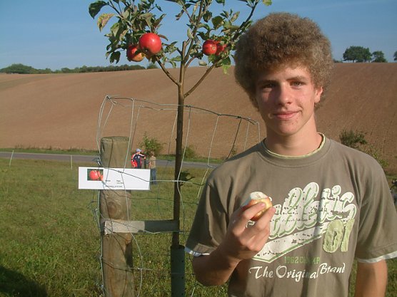 Naturpark Kyffhäuser als Lernort.. (Foto: C. Wicht) Naturpark Kyffhäuser als Lernort.. (Foto: C. Wicht)