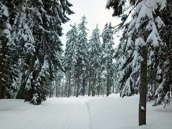 Bretterschachten (Foto: Karl-Heinz Herrmann) Bretterschachten (Foto: Karl-Heinz Herrmann)