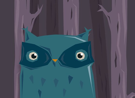 Eule (Foto: l-m-f) Eule (Foto: l-m-f)