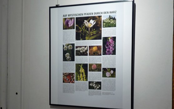 Auf mystischen Pfaden... (Foto: Karl-Heinz Herrmann)