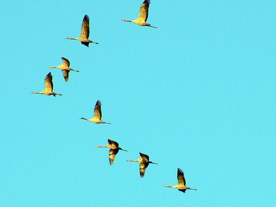 Auf dem Weg nach Norden (Foto: Rolf J&uuml;rgens)