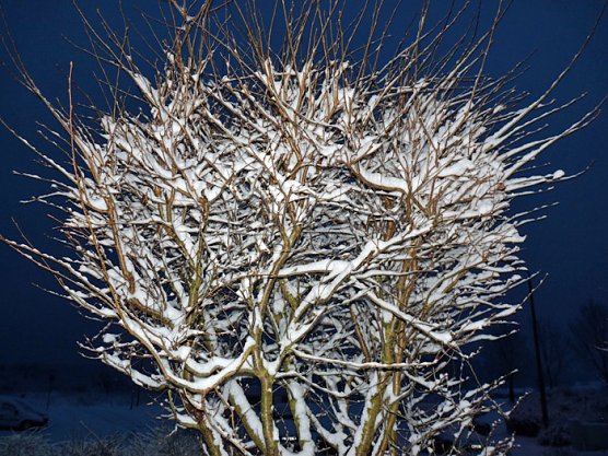 Poesie des Winters (Foto: Karl-Heinz Herrmann)