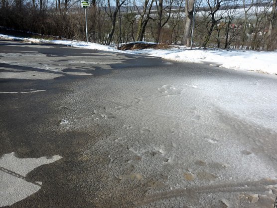 Vorsicht geboten! (Foto: Karl-Heinz Herrmann)