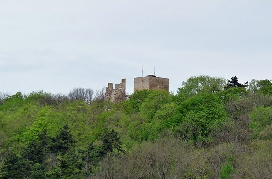 Die Th&uuml;ringer Stiftung Schl&ouml;sser und G&auml;rten setzt die Instandhaltung der Obere und Untere Sachsenburg im Kyffh&auml;userkreis fort, das geht jetzt aus einer Meldung hervor. (Foto: Karl-Heinz Herrmann)