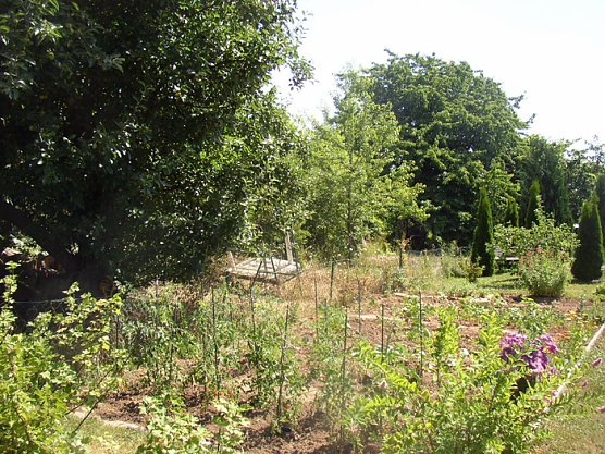 Es sind noch Gärten frei (Foto: Gartensparte Zufriedenheit) Es sind noch Gärten frei (Foto: Gartensparte Zufriedenheit)