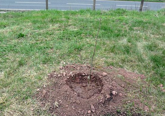 Mimengruppe aktiv (Foto: kn/DRK)