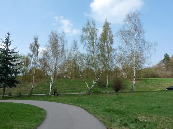 Gef&auml;hrliche Nachbarschaft (Foto: Karl-Heinz Herrmann)