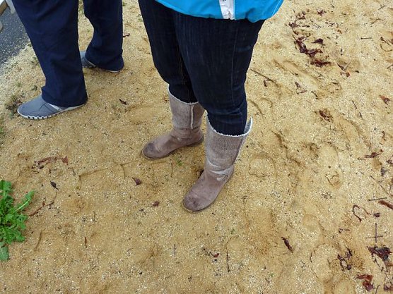 Warmes Anbaden? (Foto: Karl-Heinz Herrmann)