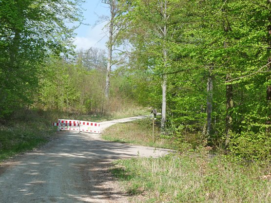 Noch Behinderungen (Foto: Karl-Heinz Herrmann) Noch Behinderungen (Foto: Karl-Heinz Herrmann)