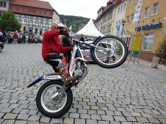 Markt zum Fliederfest (Foto: Karl-Heinz Herrmann)