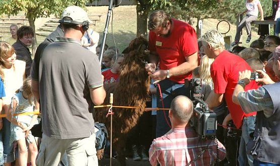 Tierische Er&ouml;ffnung (Foto: T&Uuml;V)