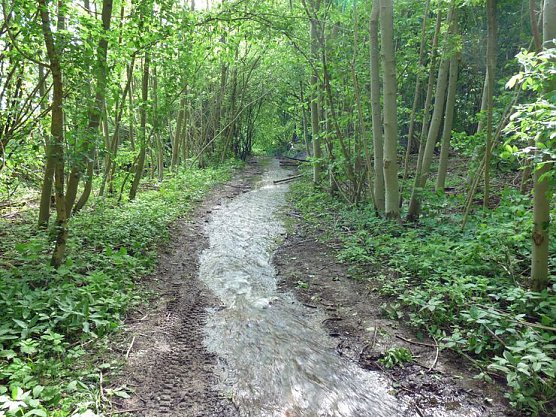 Es plätschert das Wasser, (Foto: Karl-Heinz Herrmann) Es plätschert das Wasser, (Foto: Karl-Heinz Herrmann)