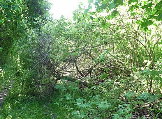 Es plätschert das Wasser, (Foto: Karl-Heinz Herrmann) Es plätschert das Wasser, (Foto: Karl-Heinz Herrmann)