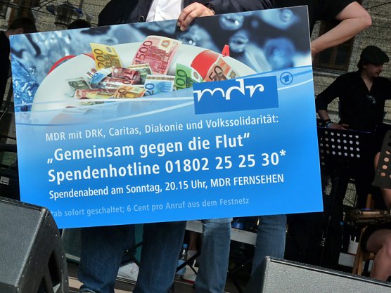 Friedenstauben &uuml;ber Sondershausen (Foto: Karl-Heinz Herrmann)