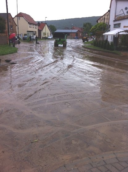 Schrecken in Seehausen (Foto: Kerstin Axthelm)