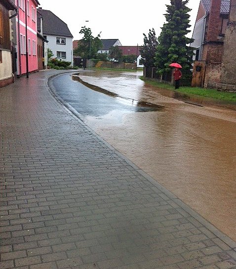 Schrecken in Seehausen (Foto: Kerstin Axthelm)