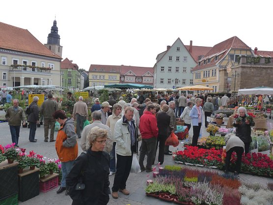 Pflanzenmarkt Sondershausen (Foto: Karl-Heinz Herrmann)