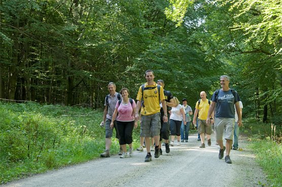 Alles Kirsche – oder was? (Foto: Thomas Stephan) Alles Kirsche – oder was? (Foto: Thomas Stephan)