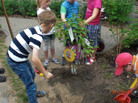Ein B&auml;umchen f&uuml;r unsere Kindervilla (Foto: Kindervilla Bad Frankenhausen)
