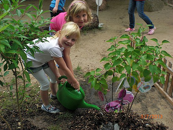 Ein B&auml;umchen f&uuml;r unsere Kindervilla (Foto: Kindervilla Bad Frankenhausen)