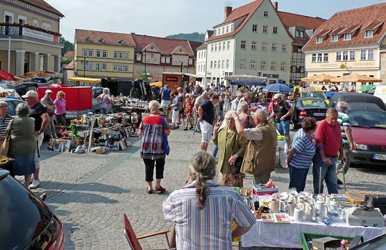 Richtiges Tr&ouml;delwetter (Foto: Karl-Heinz Herrmann)