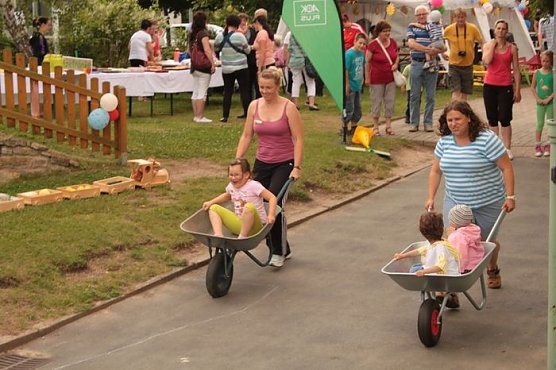 Olympiade auf dem Franzberg (Foto: K&auml;ferland)