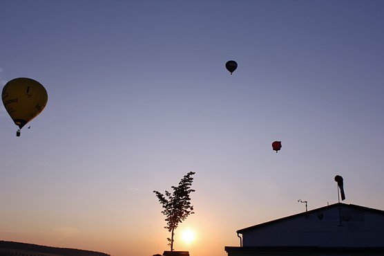 Der Sonne entgegen (Foto: Marion Haas)