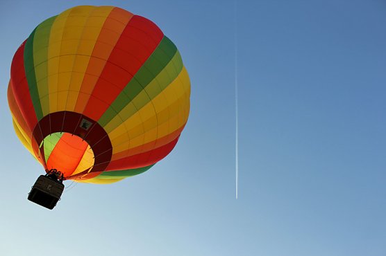 Der Sonne entgegen (Foto: Marion Haas)