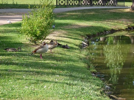 Wer ist denn das? (Foto: Karl-Heinz Herrmann) Wer ist denn das? (Foto: Karl-Heinz Herrmann)