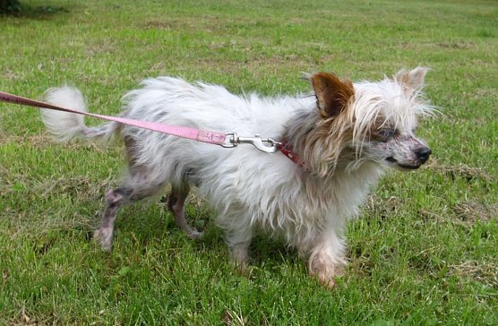 Queeny (Foto: C. Knust)