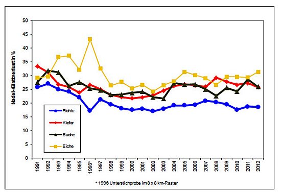 Waldschadenserhebung (Foto: Hans-Jürgen Schmidt) Waldschadenserhebung (Foto: Hans-Jürgen Schmidt)