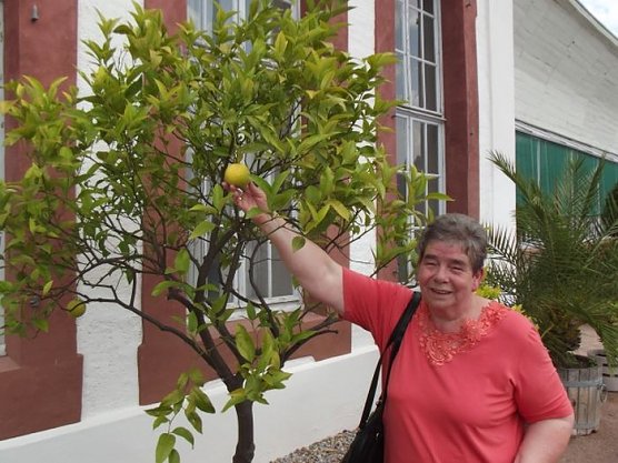 Seniorenausflug ins Land, ... (Foto: Thomas Leipold)