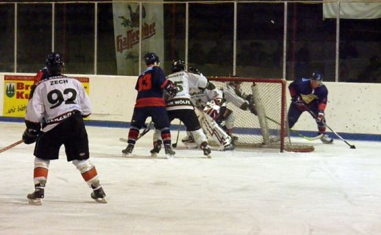 harzer wölfe (Foto: harzer wölfe) harzer wölfe (Foto: harzer wölfe)