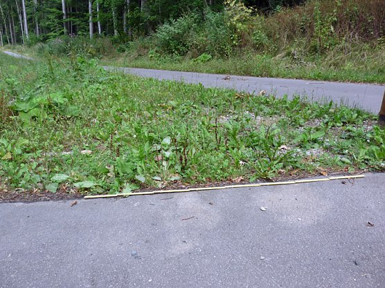 Festung Radweg (Foto: Karl-Heinz Herrmann)