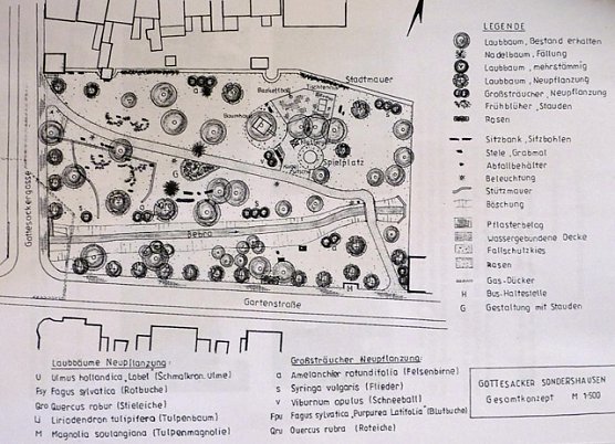 Neugestaltung Gottesacker (Foto: Stadt Sondershausen)
