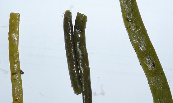 Wie sonst nach der Wahl (Foto: Karl-Heinz Herrmann)