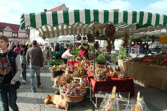 Gro&szlig;er Pflanzenmarkt mit Aktionstag (Foto: Karl-Heinz Herrmann)
