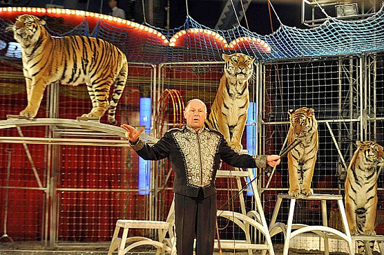 Der Zirkus kommt! (Foto: Zirkus Probst) Der Zirkus kommt! (Foto: Zirkus Probst)
