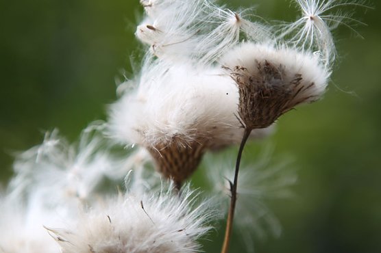Am Braunsteinhaus (Foto: nnz) Am Braunsteinhaus (Foto: nnz)